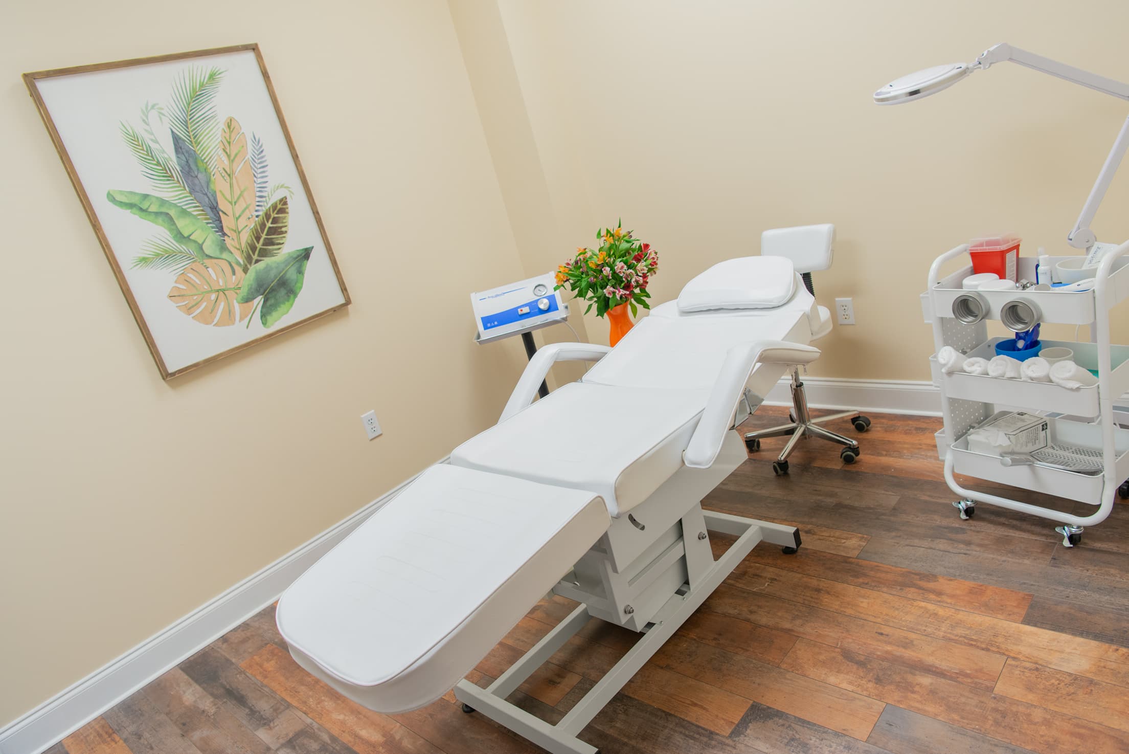 True Bliss Medical Aesthetics and Wellness